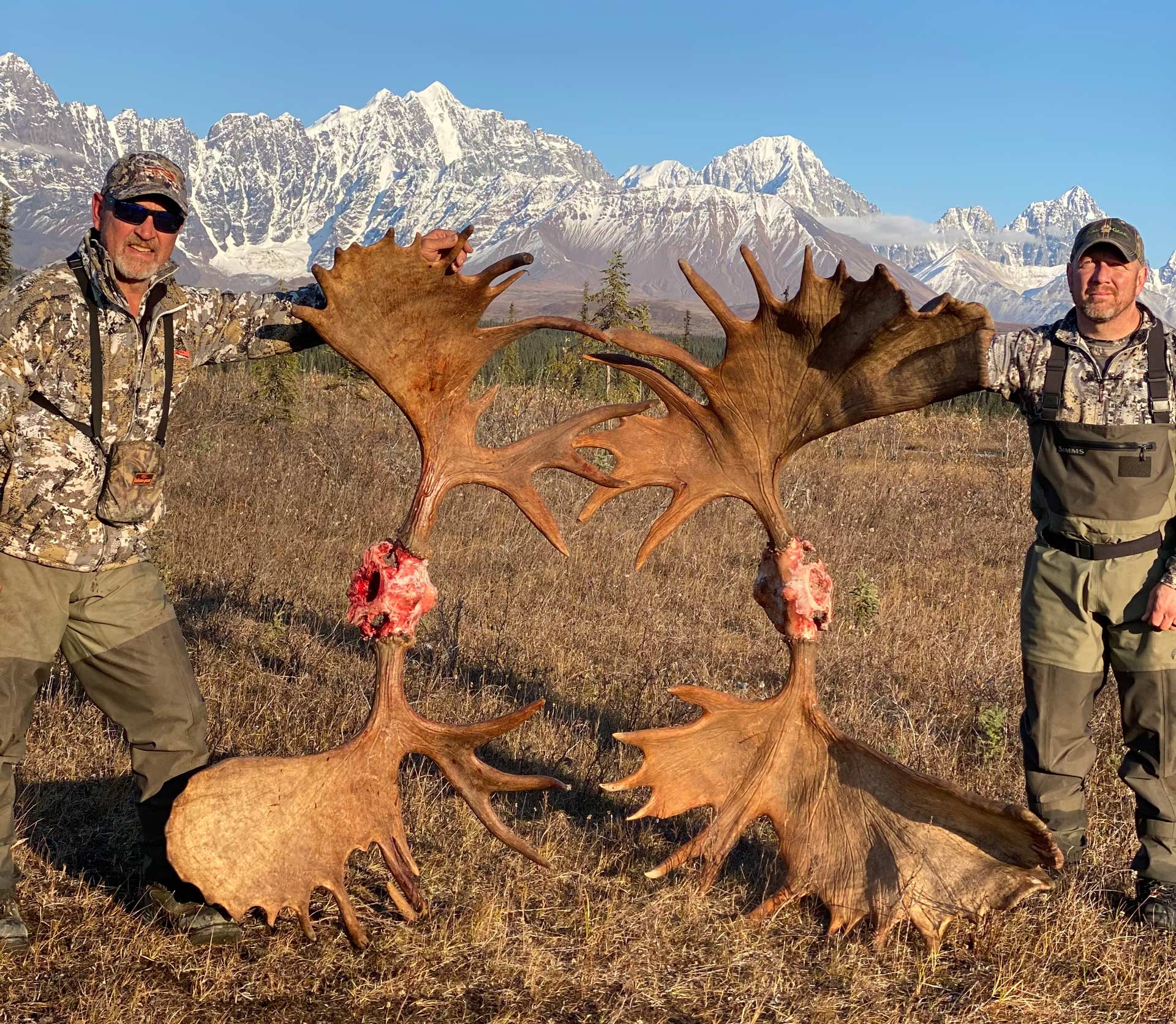 moose and elk hunting trips