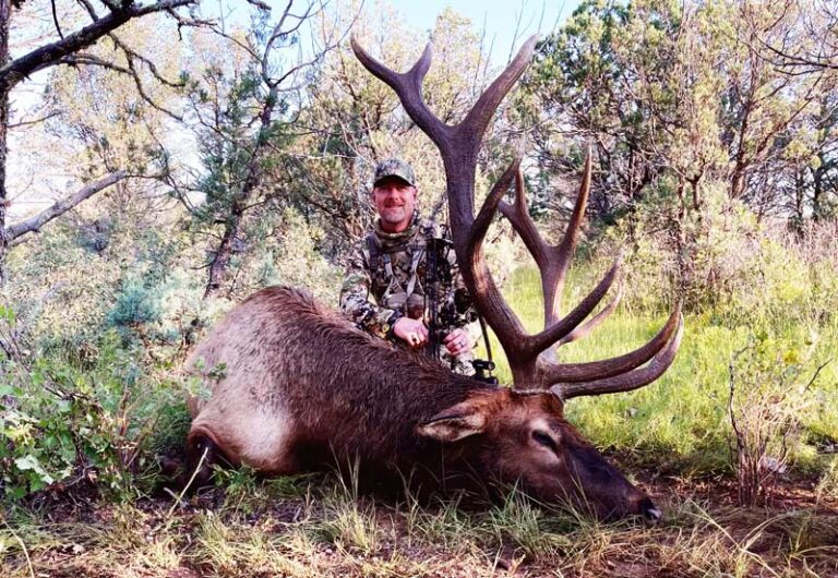 Best Elk Hunting Trips and Outfitters! Find Your Hunt!