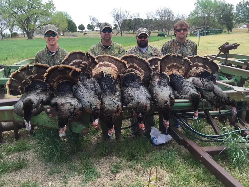 Wild Turkey Cordon Bleu - Backcountry Hunters and Anglers