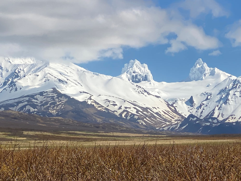 Alaskan-Brown-Bear-Huting-Trips-and-outfitters - Infinity Hunts