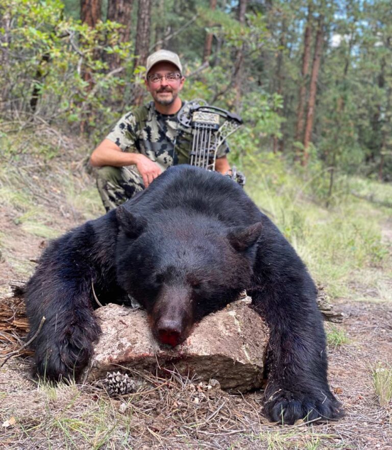 Archery Black bear hunting trip.
