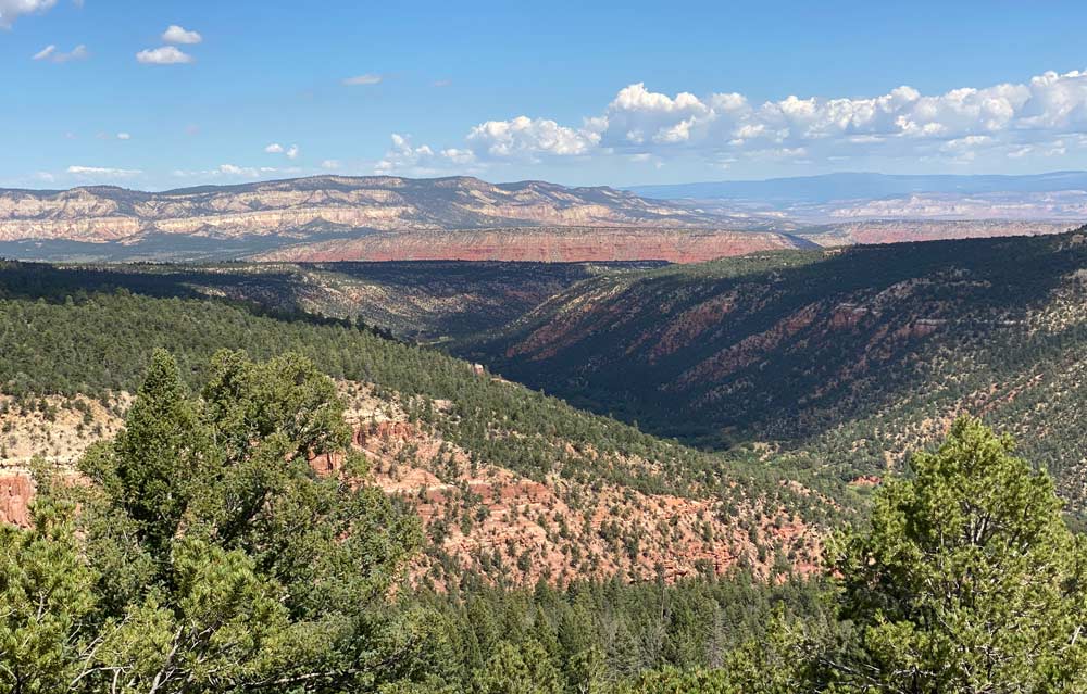 Beautiful-Landscape-Trophy-Hunts - Infinity Hunts Black bear Hunting in Beautiful New Mexico.