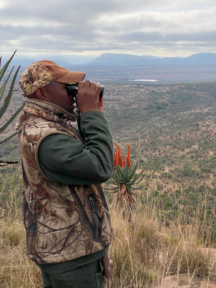 Glassing for Plains Game in Eastern Cape South Africa