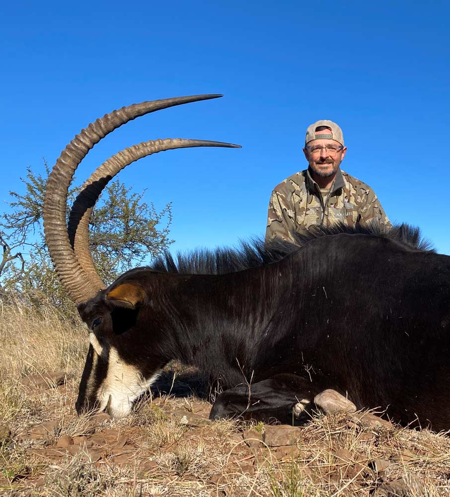 Eastern cape South Africa Sable